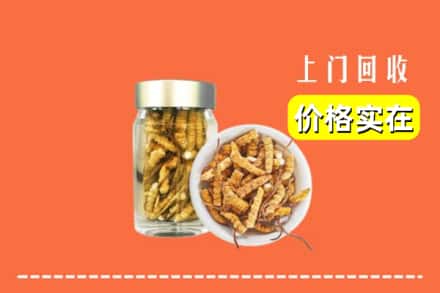 达州市万源回收散虫草