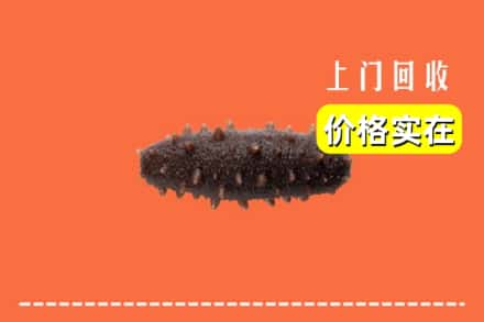 达州市万源回收海参