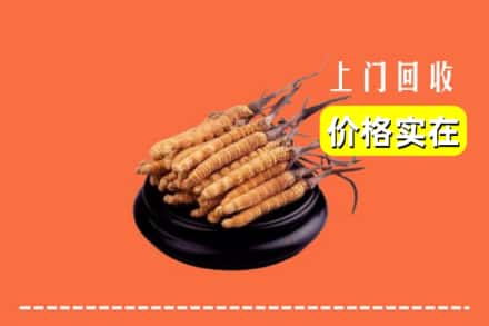 达州市万源回收冬虫夏草